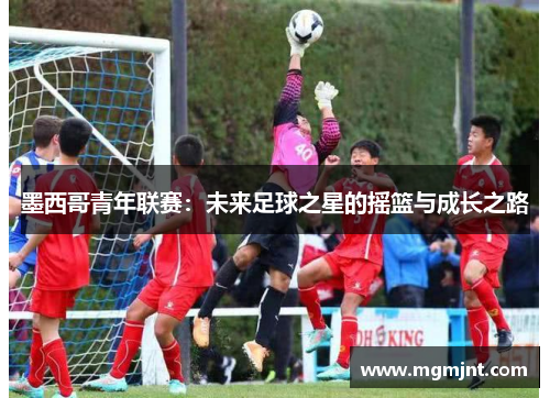 墨西哥青年联赛：未来足球之星的摇篮与成长之路