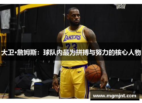 大卫·詹姆斯：球队内最为拼搏与努力的核心人物