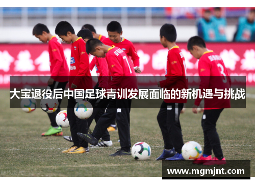 大宝退役后中国足球青训发展面临的新机遇与挑战