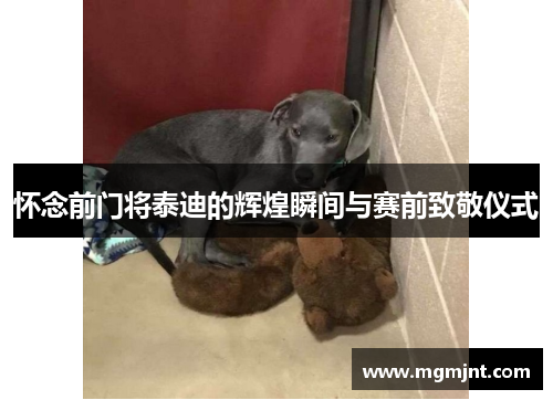 怀念前门将泰迪的辉煌瞬间与赛前致敬仪式