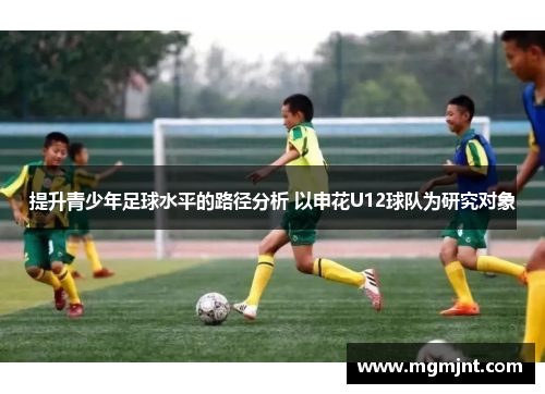 提升青少年足球水平的路径分析 以申花U12球队为研究对象 提升青少年足球水平的路径分析 以申花U12球队为研究对象