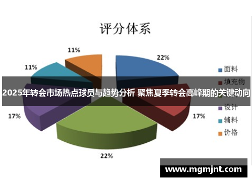 2025年转会市场热点球员与趋势分析 聚焦夏季转会高峰期的关键动向