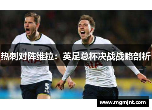 热刺对阵维拉：英足总杯决战战略剖析
